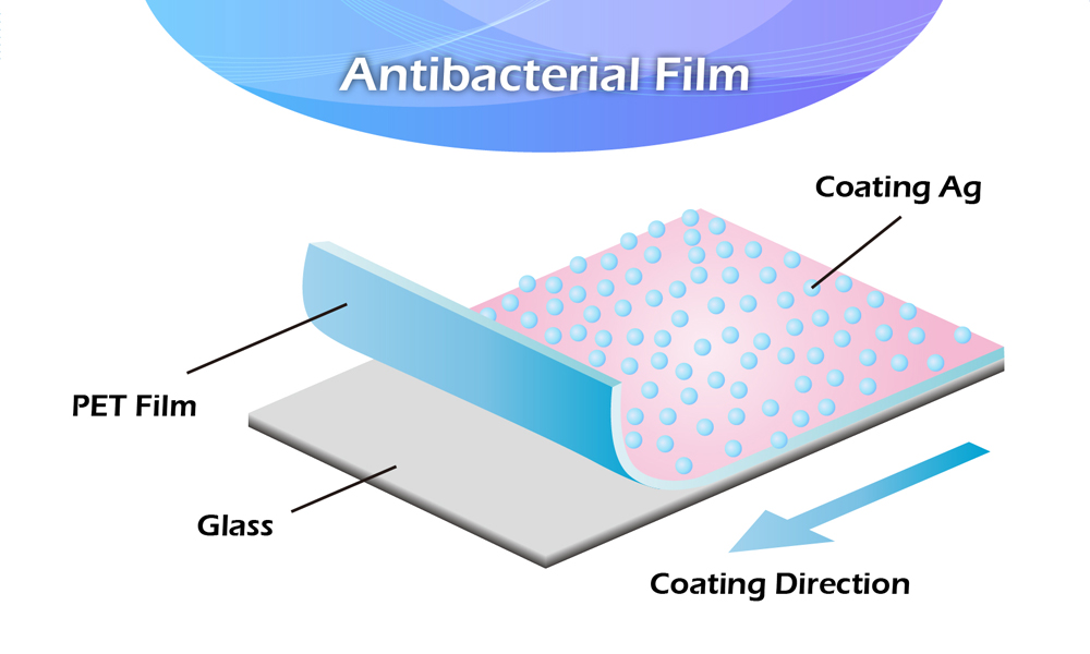 Figure 3 Antibacterial Film