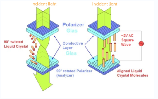 Working principle of twisted nematic liquid crystal display (TN-LCD)