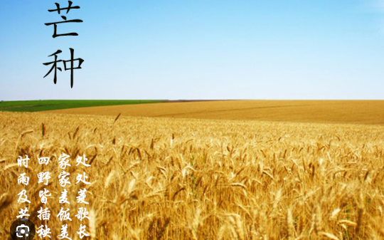 2025年芒种